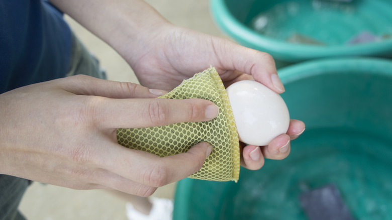 Hands cleaning egg with sponge