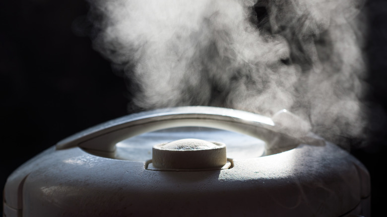 Steam coming from rice cooker