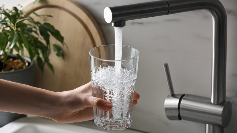 Person filling glass up with tap water