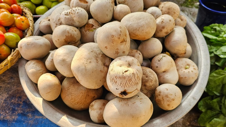 Brown potatoes in beige bucket