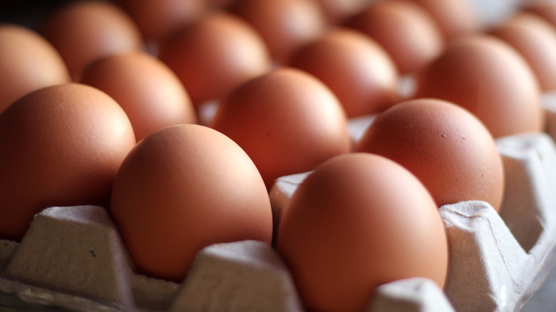 An open carton of brown eggs