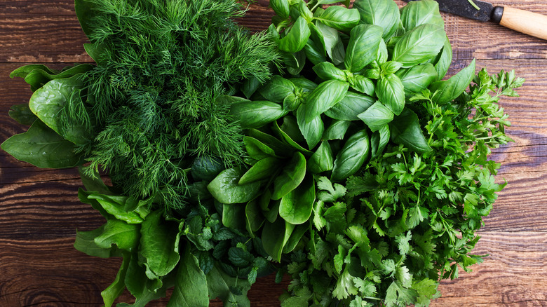 Fresh green herbs on wooden cutting board