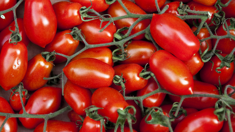 fresh Roma tomatoes on the vine