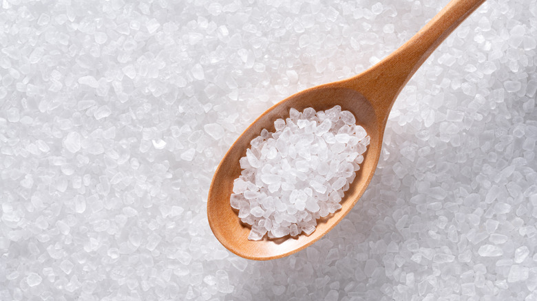 Sea salt on wooden spoon