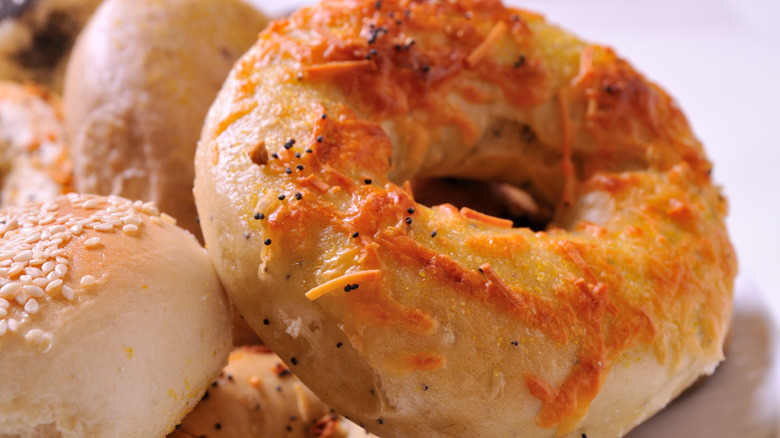 Asiago cheese bagel