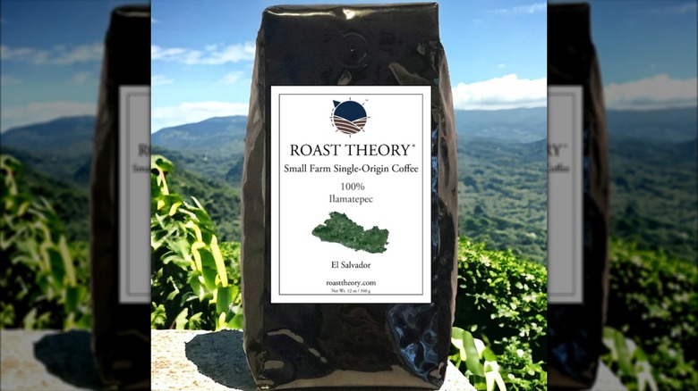 Black bag of Roast Theory brand El Salvador single origin coffee with sunny mountain landscape background