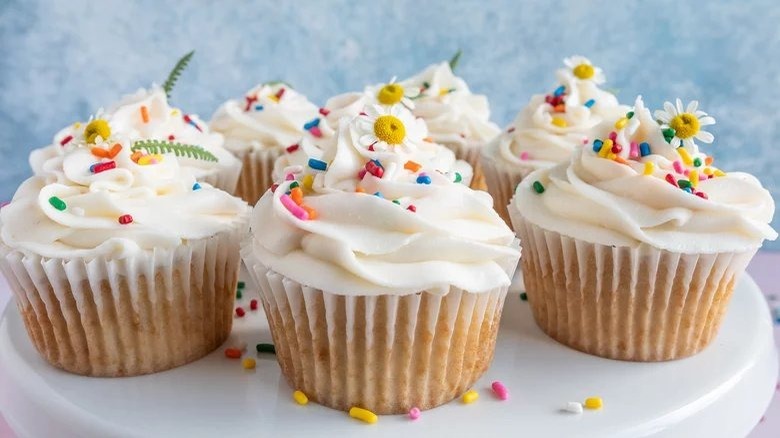 frosted vegan vanilla cupcakes