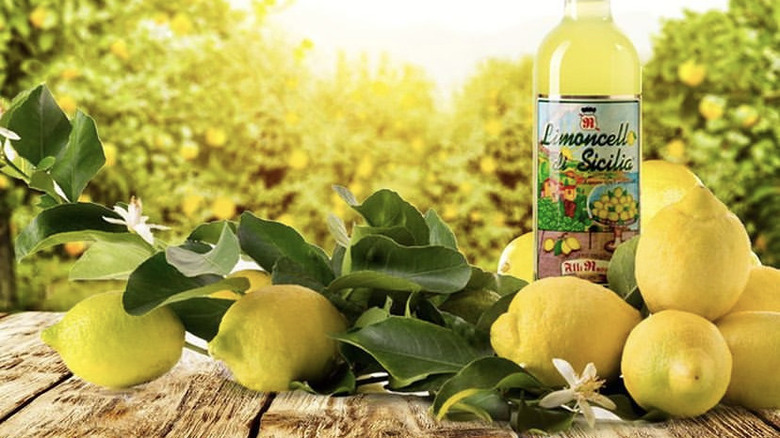 11 Best Limoncello Brands Ranked