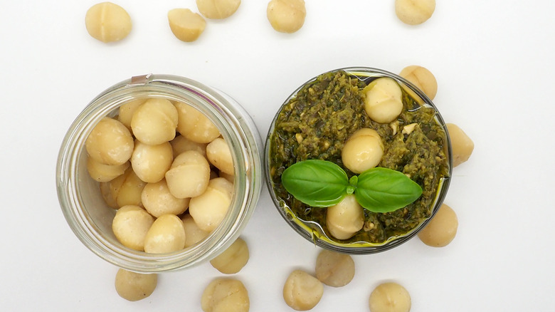 Macadamia nuts and macadamia pesto