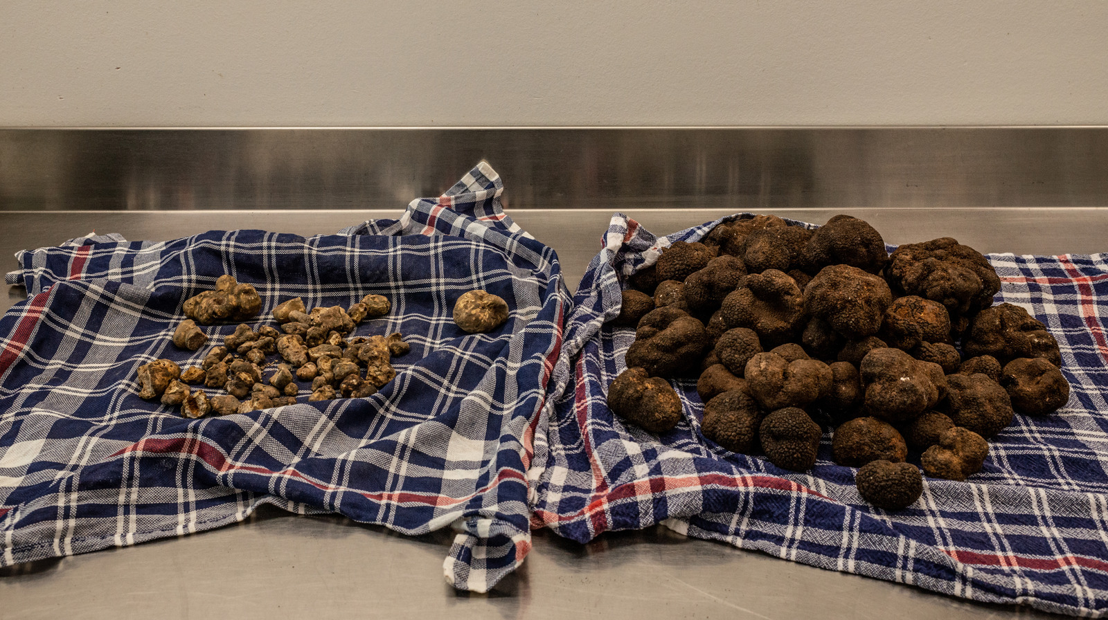 The Truth About Truffles, Serving Up Science, Season 3