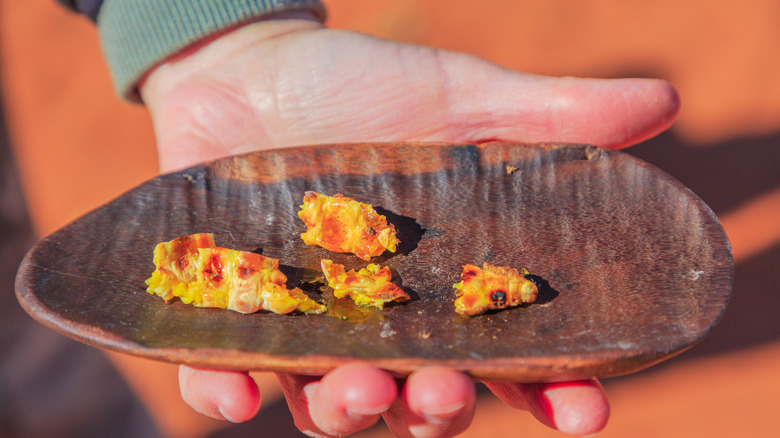 Orange grubs on plate