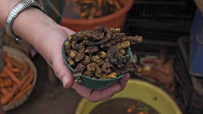 Person holding bowl of worms