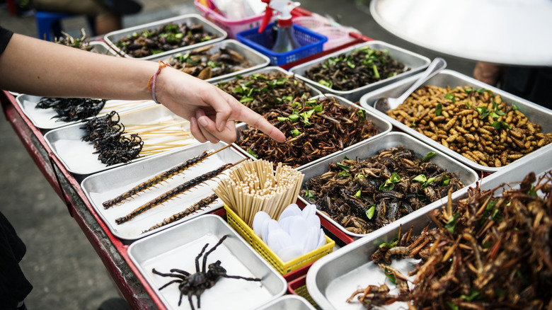 Cooked insects in containers