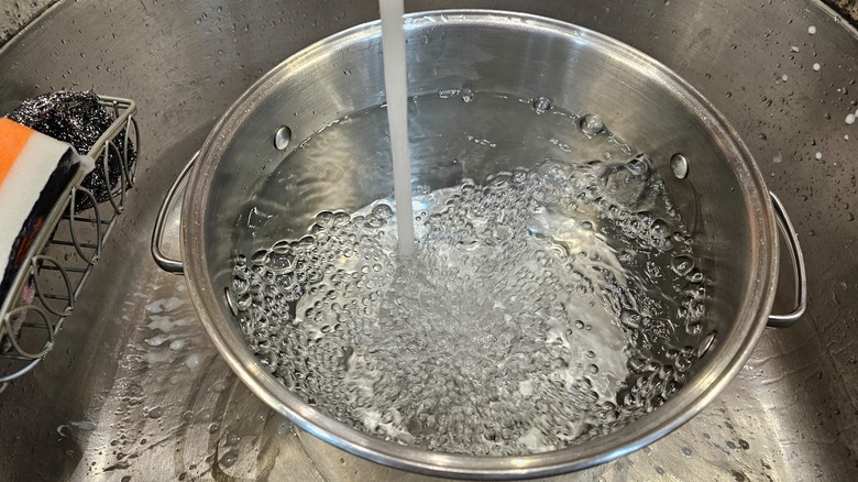 filling bowl with water in sink