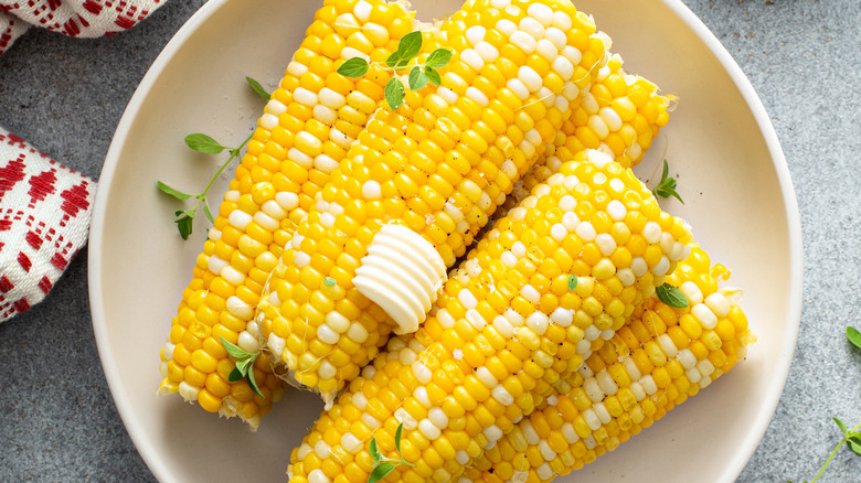 Corn on the cob on white plate 