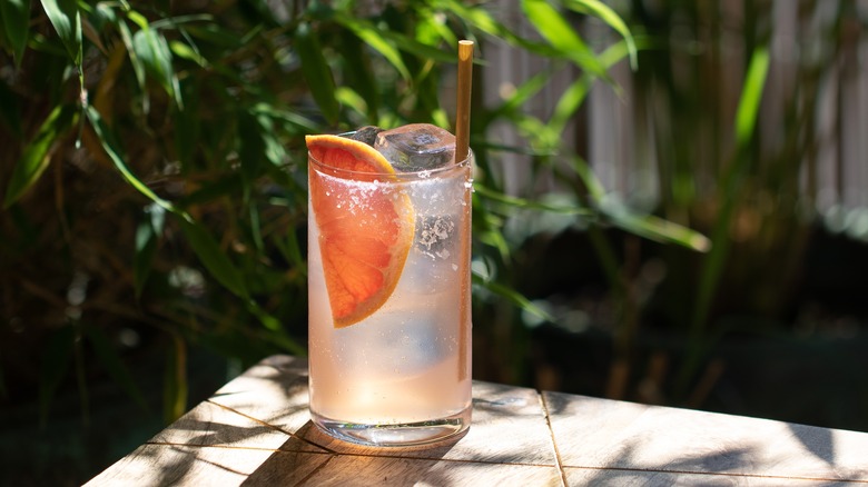 Paloma cocktail grapefruit slice garnish