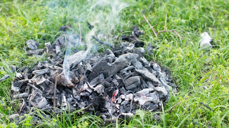 A pile of smoldering coals on grass