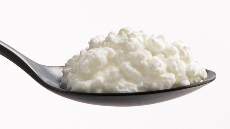 A spoonful of Friendship Dairies cottage cheese