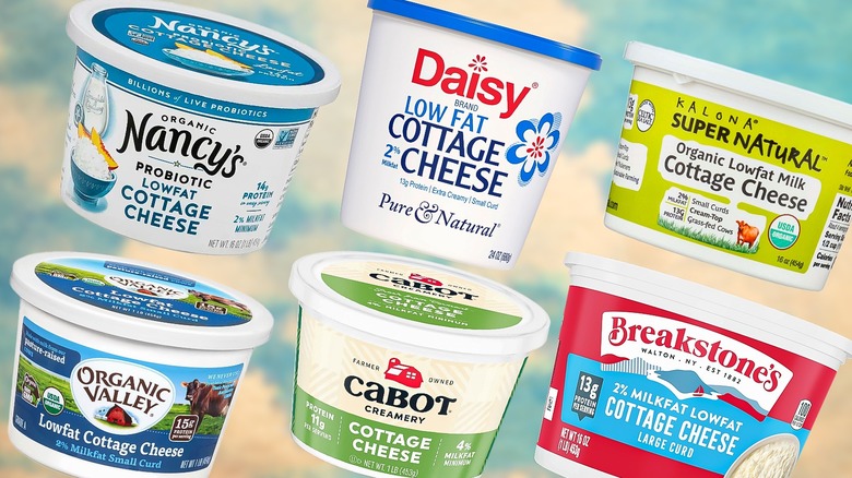 Six cottage cheese brands in original containers: Nancy's, Organic Valley, Daisy, Cabot, Kalona, and Breakstone's