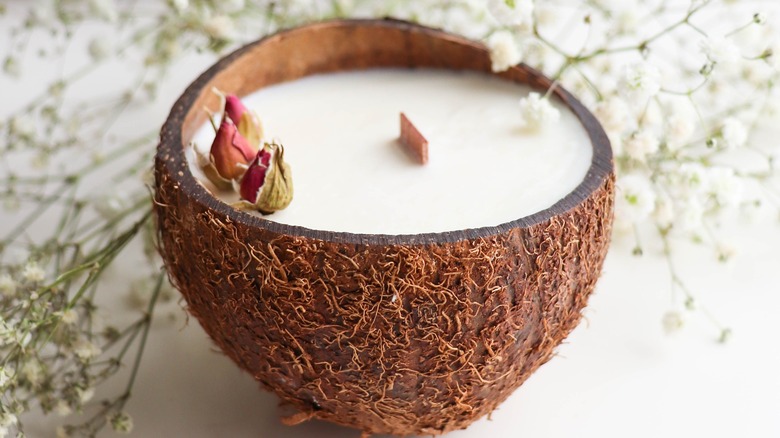 coconut candle