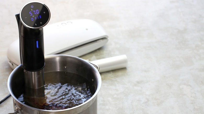 Sous vide immersion circulator