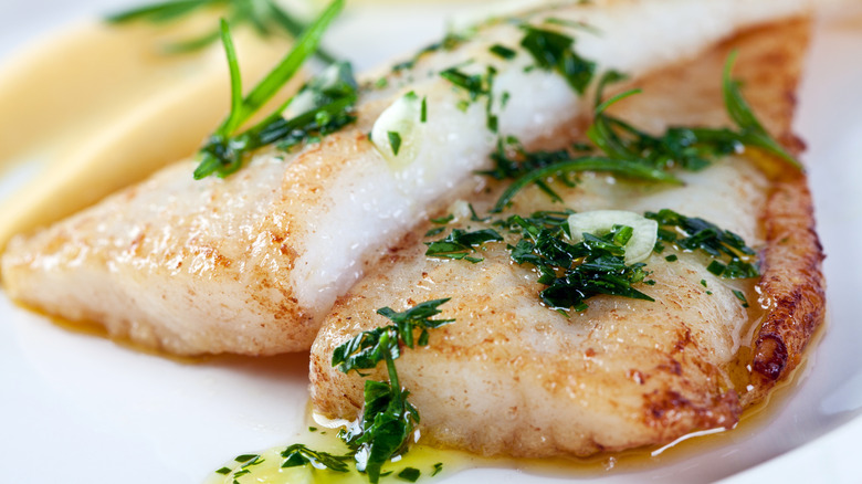 Cooked white fish on plate