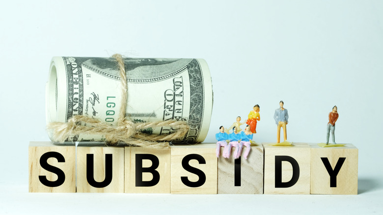 blocks spelling the word subsidy