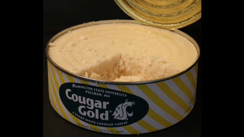 open cougar gold can 