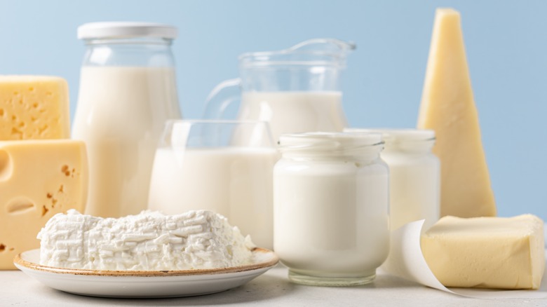 butter milk cheese dairy products