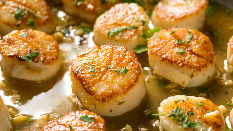 scored scallops frying in butter