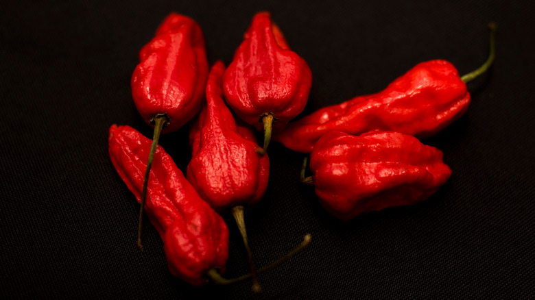 Ghost peppers on black background