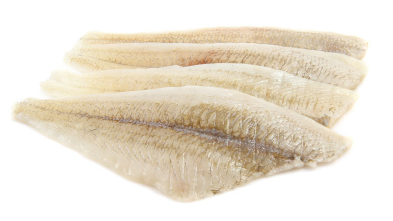 fluke fillets on white background