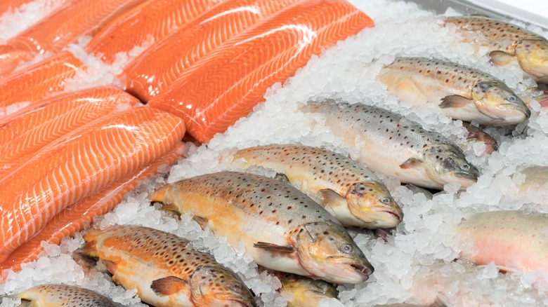 Trout and trout fillets on ice