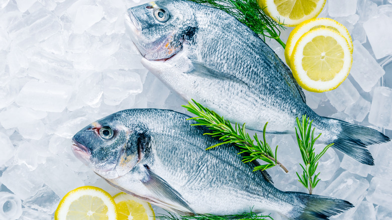 Two sea bream on ice