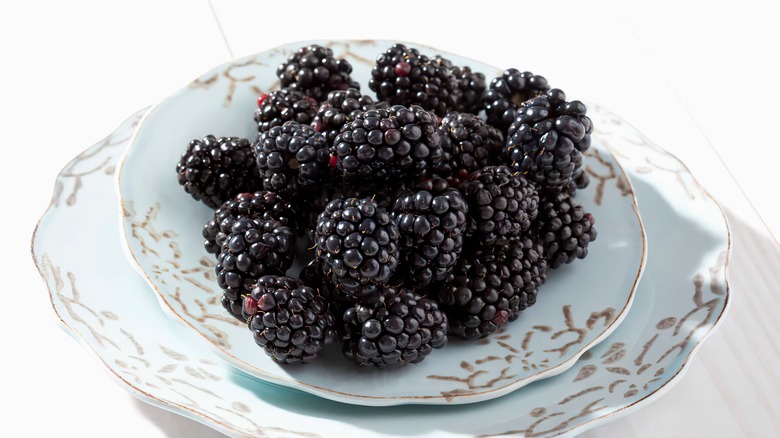 Plate of blackberries