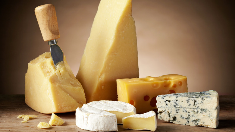 Selection of different cheeses