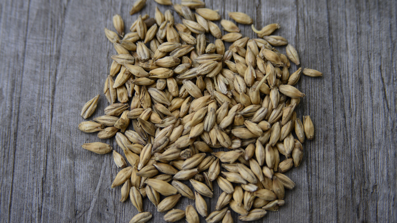 closeup of a pile of barley