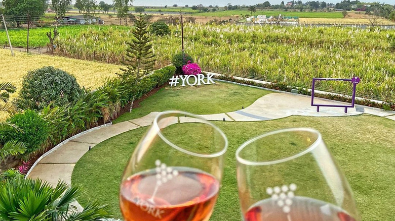 Glasses of rosé in garden