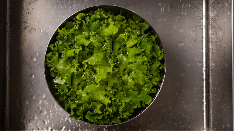 leafy lettuce in bowl