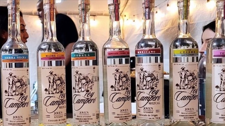 row of mezcal