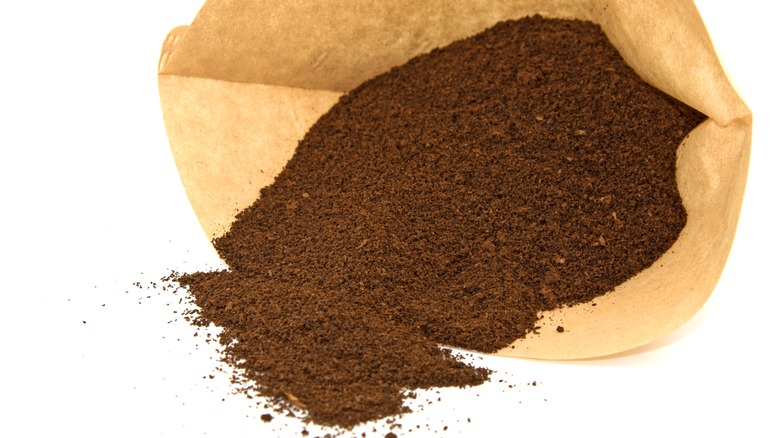 pre-ground coffee in filter