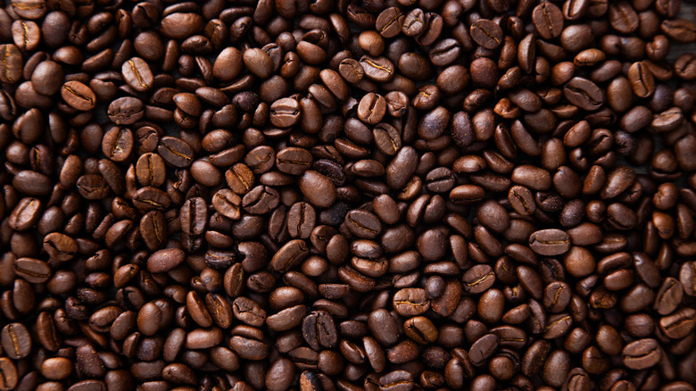 coffee beans up close