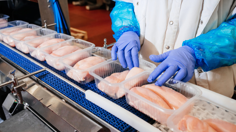 factory worker packaging raw chicken breast