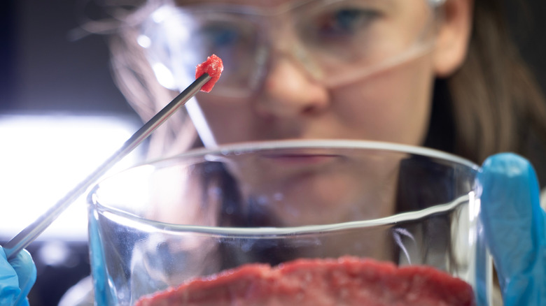 lab technician looking at lab-grown meat