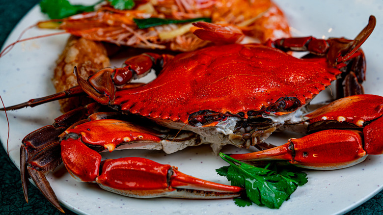 A crab and shrimps on a plate with greens