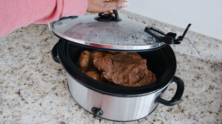 slow cooker with meat