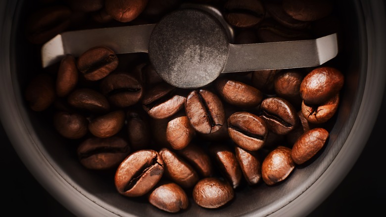 whole coffee beans inside blade grinder