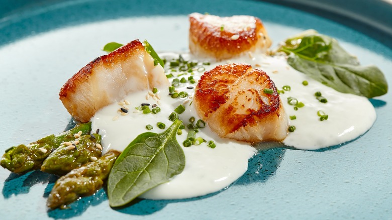 scallops 