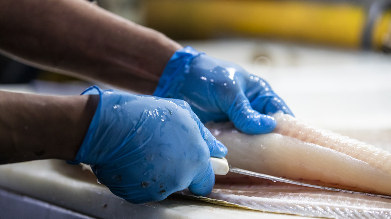 Restaurant worker filleting fish