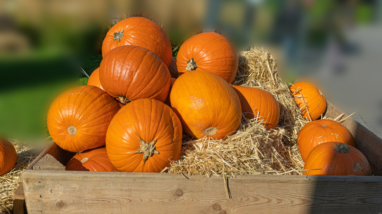 Pumpkin stacked over hay in crate